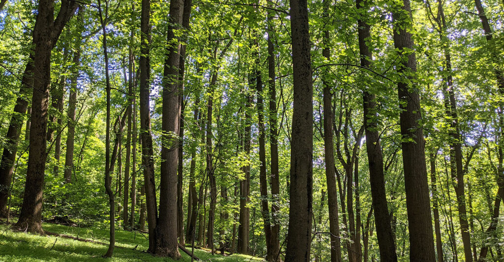 Prince George’s County, Maryland