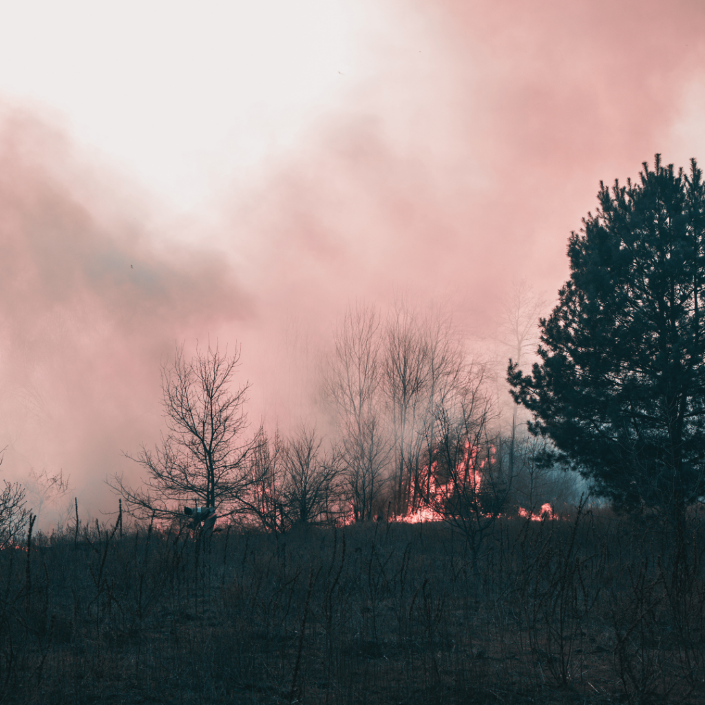 wildfire smoke