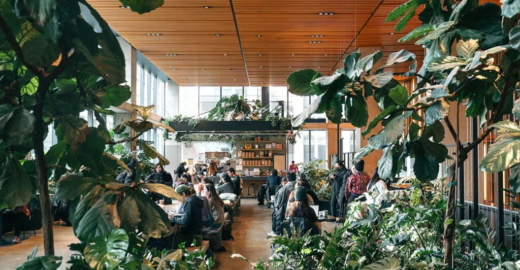 How I Got My Job Running Cafes Out of Climbing Gyms