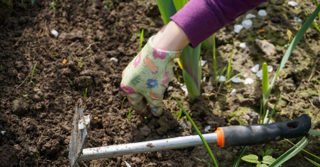 8 Tips to Prevent Weeds from Taking Over Your Garden – ViralNova 8 Tips to Prevent Weeds from Taking Over Your Garden – ViralNova