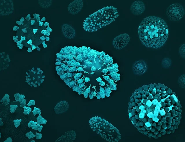What is Ebola Virus? Symptoms, Causes, Transmission, and Prevention spotcovery-what-is-ebola-virus-symptoms-causes-transmission-and-prevention