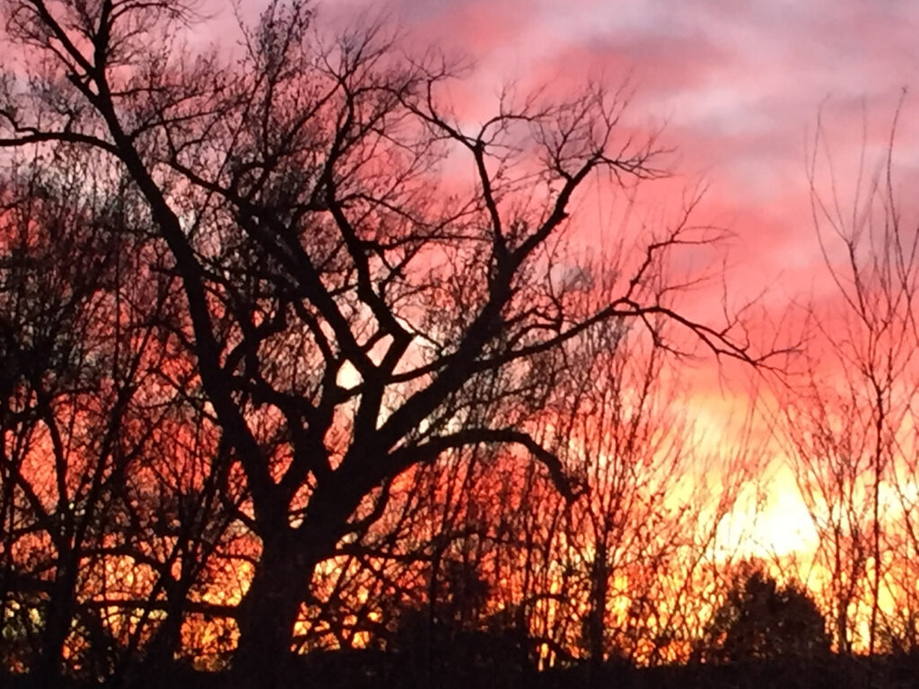 Memorial Day Reflection 26 by Sara Wright – Feminism and Religion Memorial Day Reflection 26 by Sara Wright – Feminism and Religion