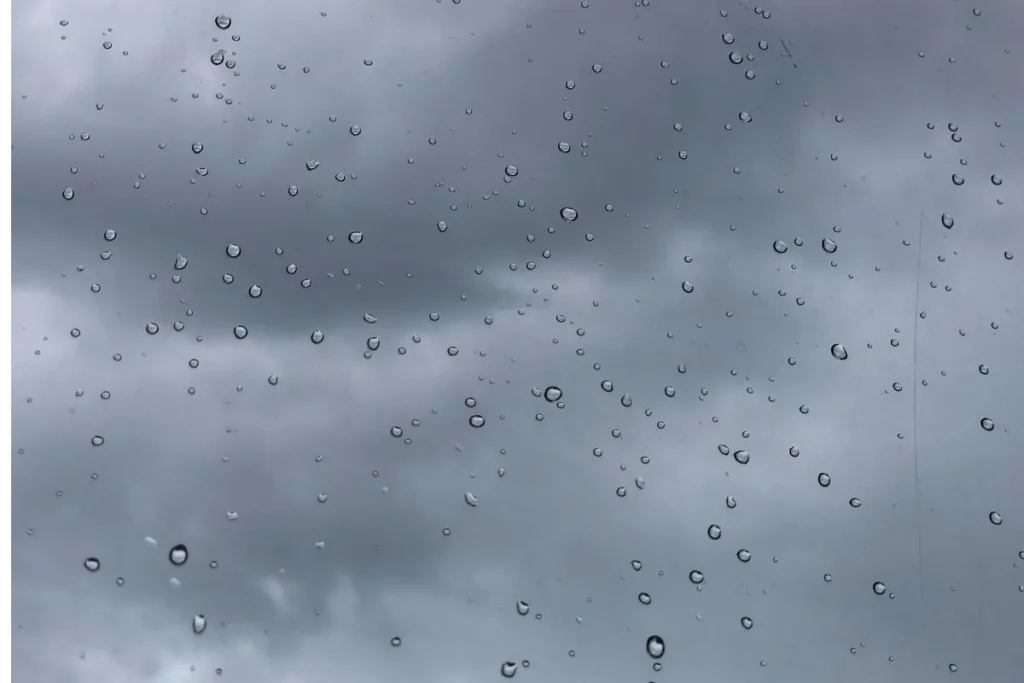 weather forecast