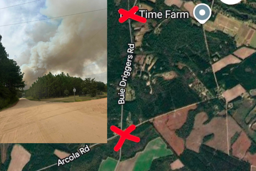 Firefighters battle 250-acre wildfire east of Brooklet Firefighters battle 250-acre wildfire east of Brooklet