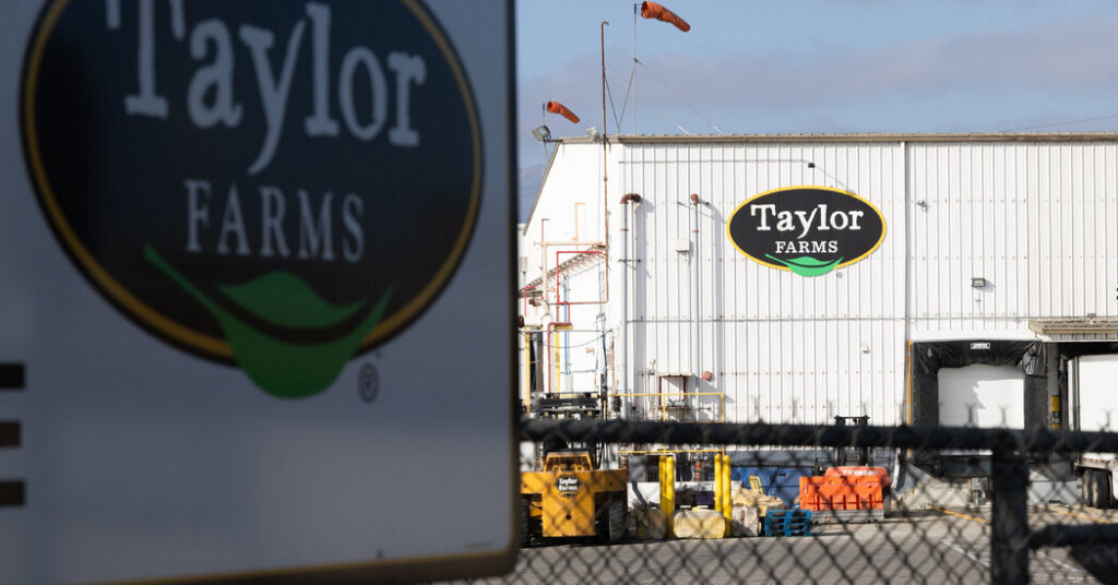 Taylor Farms Expands Iceberg Lettuce Recall to 27 States Amid Cyclospora Outbreak Taylor Farms Expands Iceberg Lettuce Recall to 27 States Amid Cyclospora Outbreak
