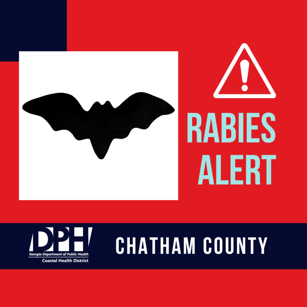 Bat Tests Positive for Rabies in Bloomingdale Area Rabies alert, Chatham County