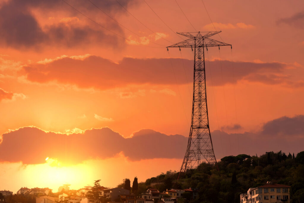 In Georgia, the Power Bill Comes Due In Georgia, the Power Bill Comes Due