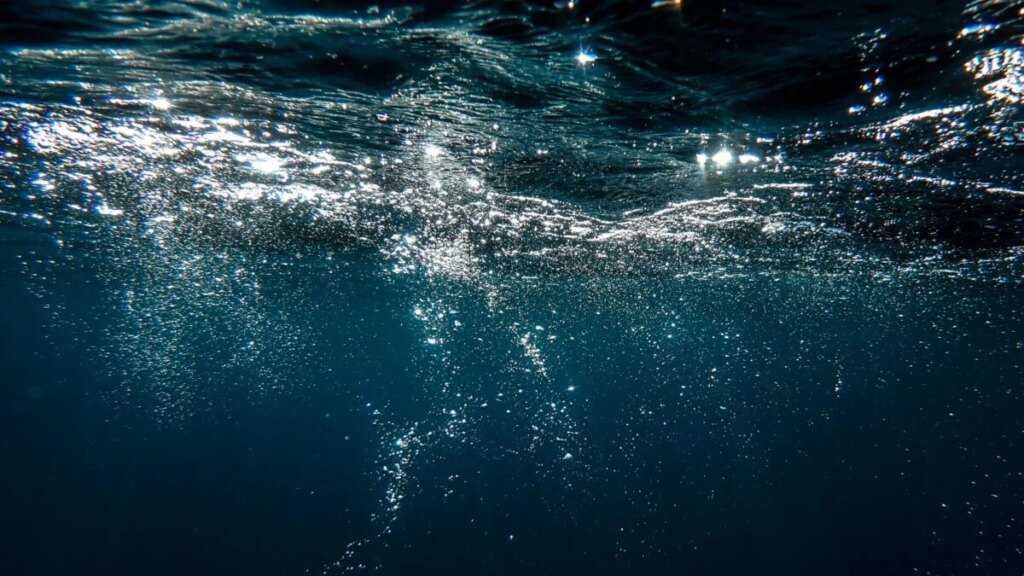 Earth’s Oceans Are Rapidly Losing Oxygen. It Could Destabilize the Planet Earth's Oceans Are Rapidly Losing Oxygen. It Could Destabilize the Planet