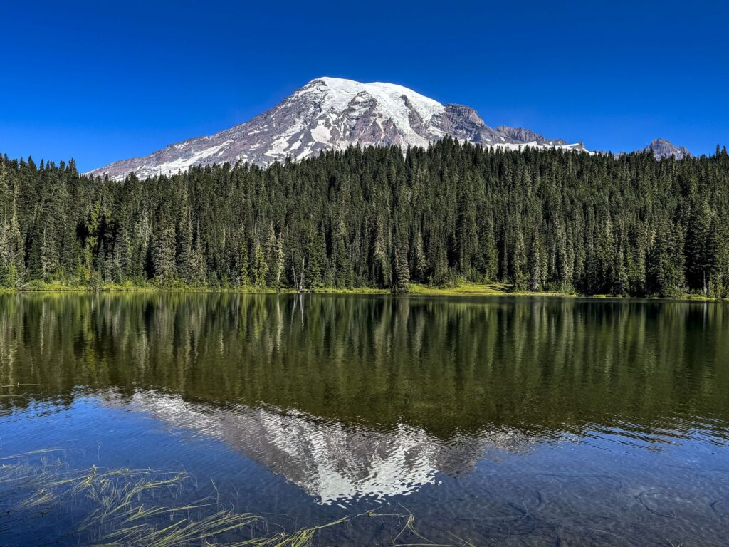 A Massive Flow of Rock and Mud Tumbled Down Mount Rainier Centuries Ago. Scientists Pinpointed Its Date to Better Understand the Volcano's Complex Threats
