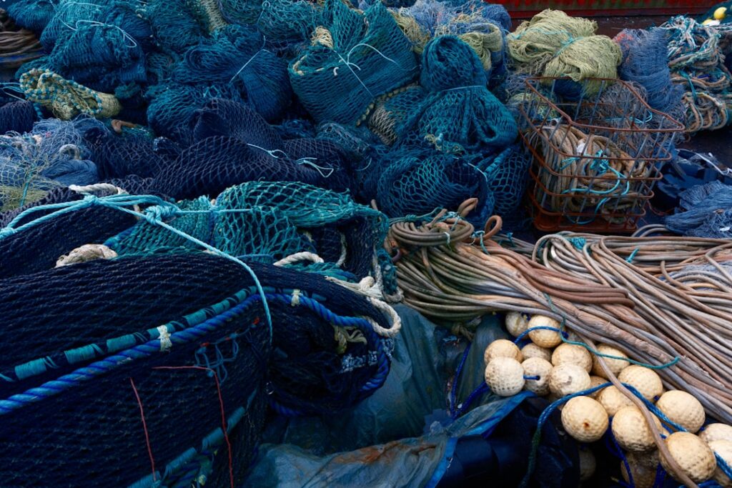 Three promising business opportunities in Somalia