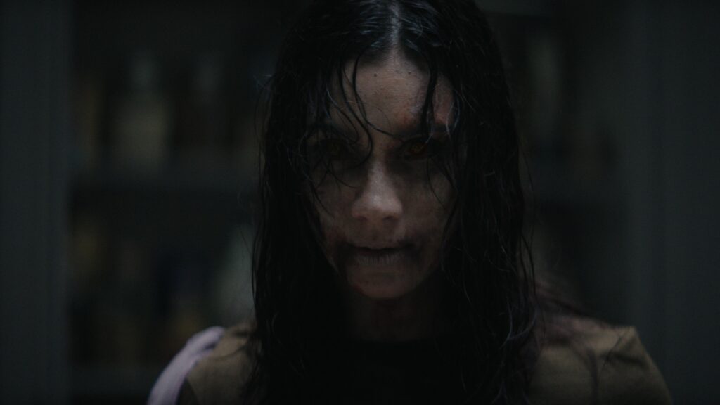 How Evil Dead Burn Fits Into the Long-Running Horror Franchise