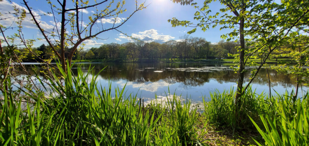 Lake County, IL Housing Market Update: June 2026 Lake County, IL Housing Market Update: June 2026