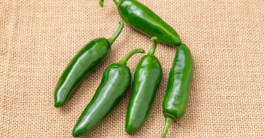 Taylor Farms Recalls Salsa, Guacamole Over Salmonella Risk Taylor Farms Recalls Salsa, Guacamole Over Salmonella Risk