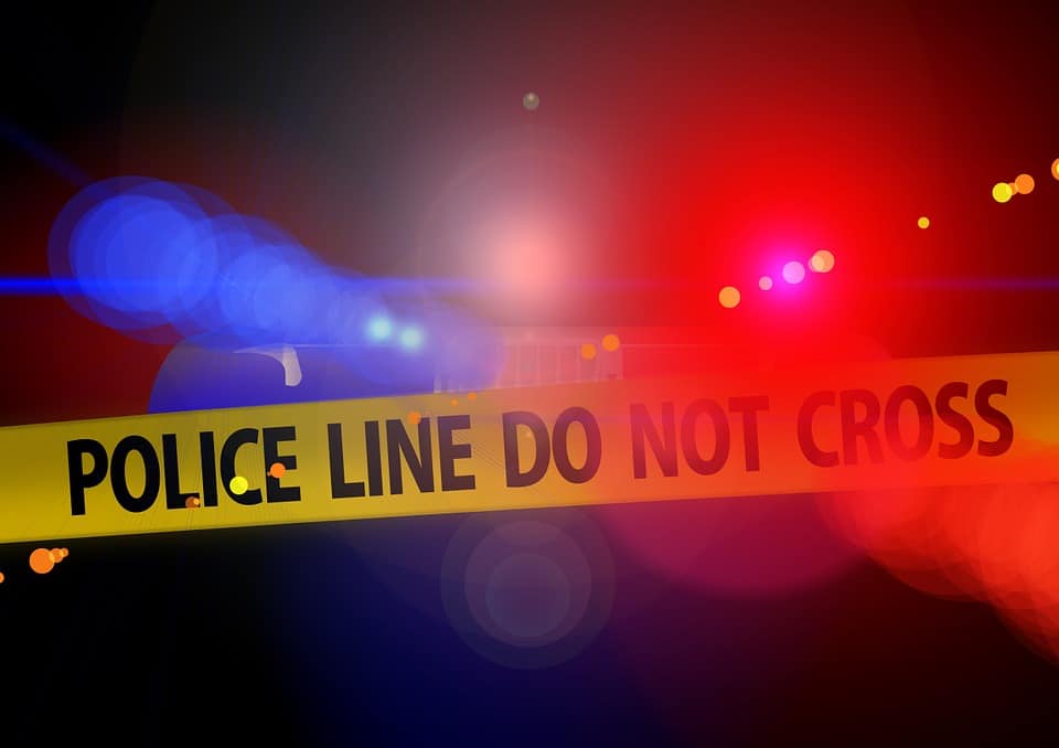 Animal cruelty suspect arrested in Brookhaven Animal cruelty suspect arrested in Brookhaven