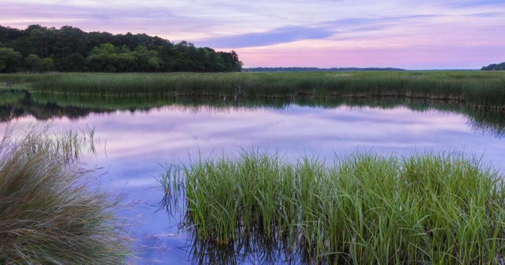 Lynchburg to host virtual Gullah/Geechee lecture