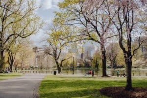 Suffolk County, MA Housing Market Update: August 2026 Boston Common Park
