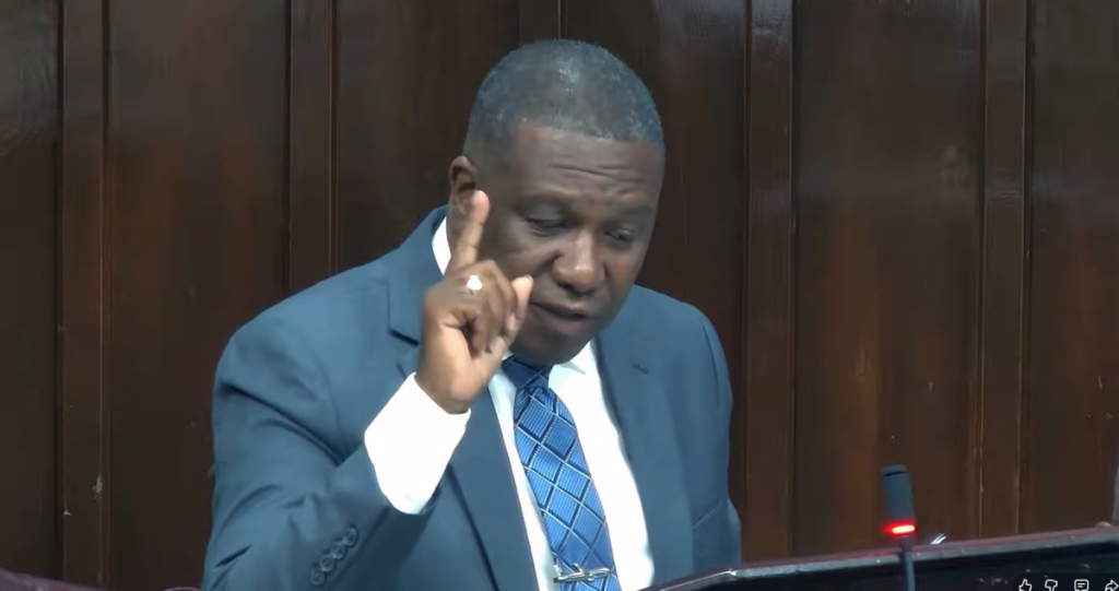 Turbulence Ahead: The Questionable Logic Behind Saint Lucia’s ICE Deportee Agreement with the US | THE STAR Turbulence Ahead: The Questionable Logic Behind Saint Lucia’s ICE Deportee Agreement with the US | THE STAR