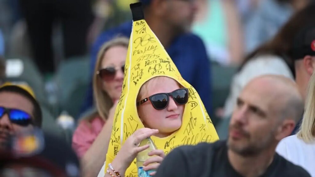How the Savannah Bananas Ticket Lottery Actually Works R. Kenner French