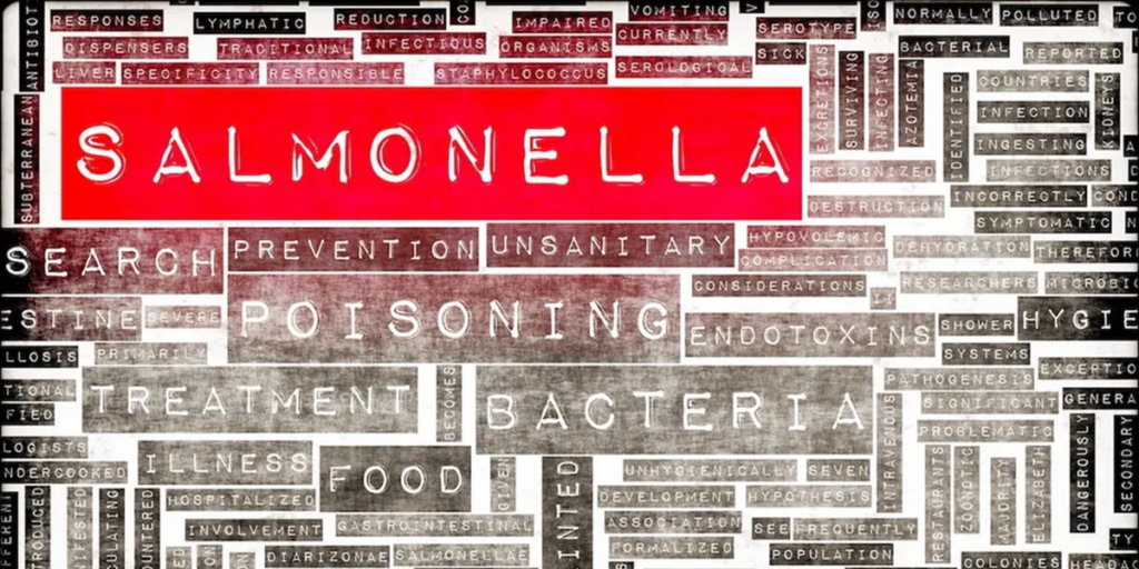 UK patient count in Salmonella outbreak passes 600