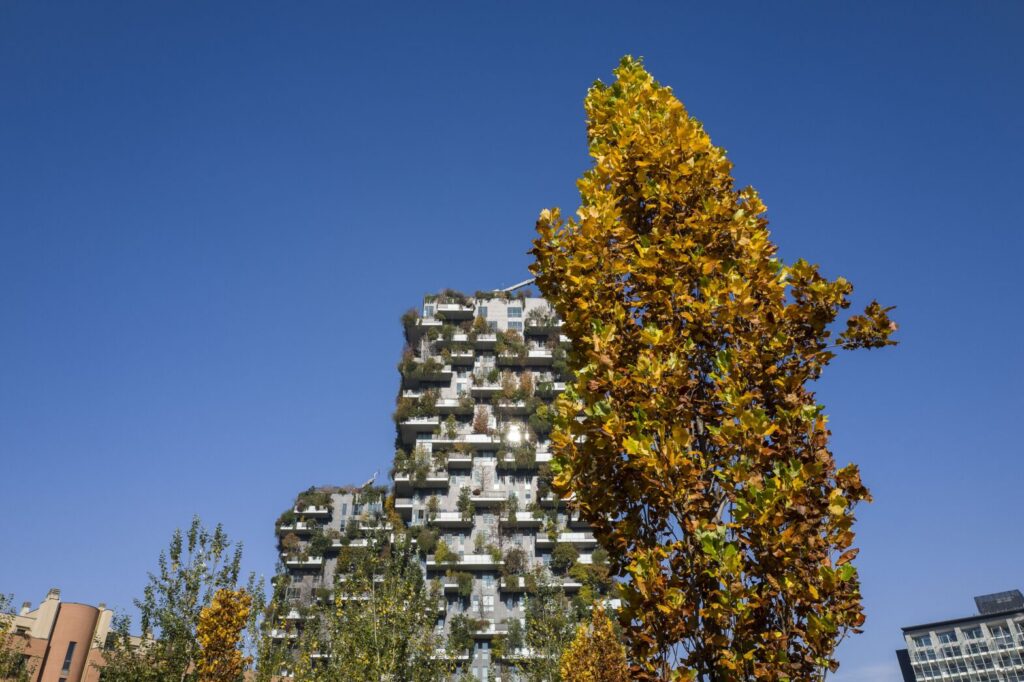 A Milan Local’s Guide To The City’s Best Fall Art, Galleries, And Cultural Stops A Milan Local’s Guide To The City’s Best Fall Art, Galleries, And Cultural Stops